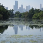 Skyline from Lincoln Park