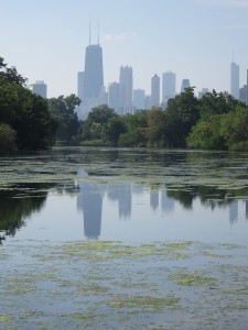 Skyline from Lincoln Park