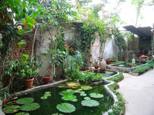 Hotel courtyard