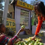 Sui buying produce